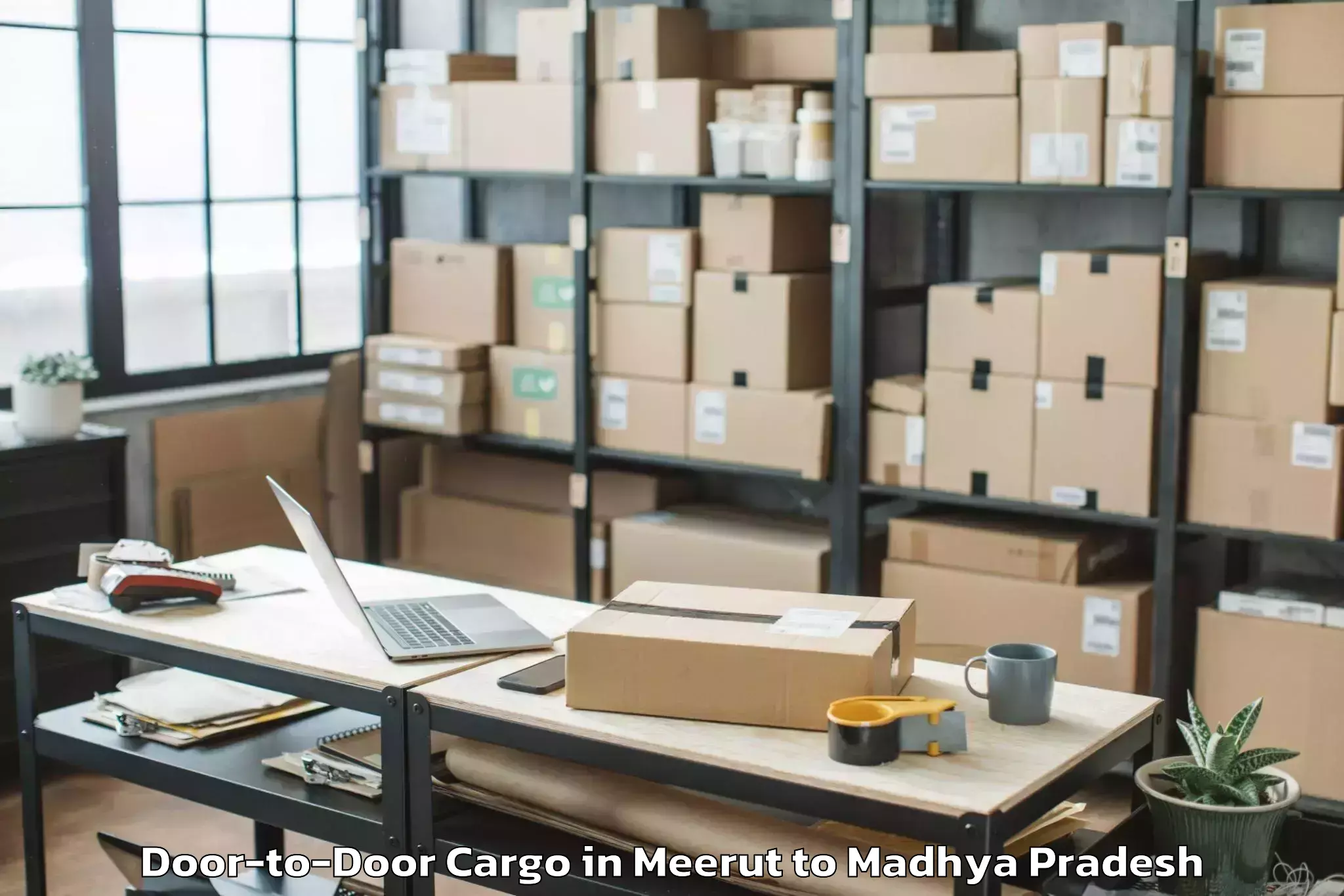 Expert Meerut to Bijawar Door To Door Cargo